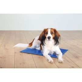 Matelas Rafraichissant - 110x70cm Bleu Trixie