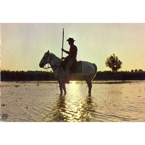 En Camargue : Un Gardian (Ref 34)