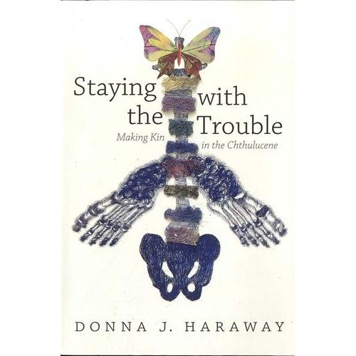 Staying With The Trouble