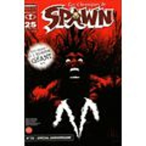 Les Chroniques De Spawn  N° 25
