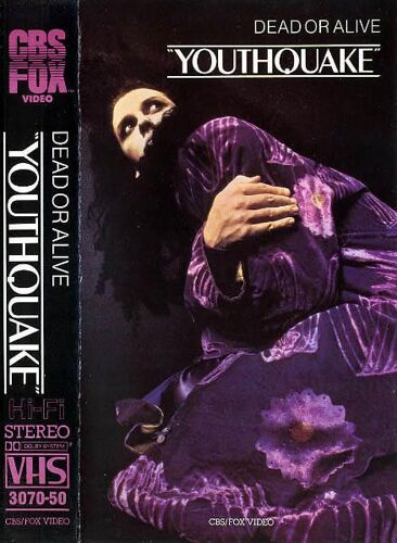Dead Or Alive - Youthquake Videos