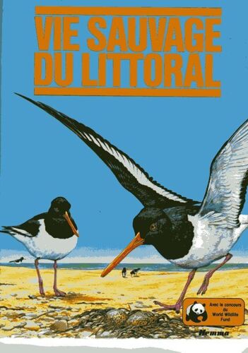Vie Sauvage Du Littoral