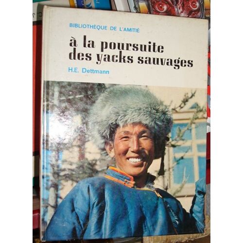 A La Poursuite Des Yacks Sauvages.