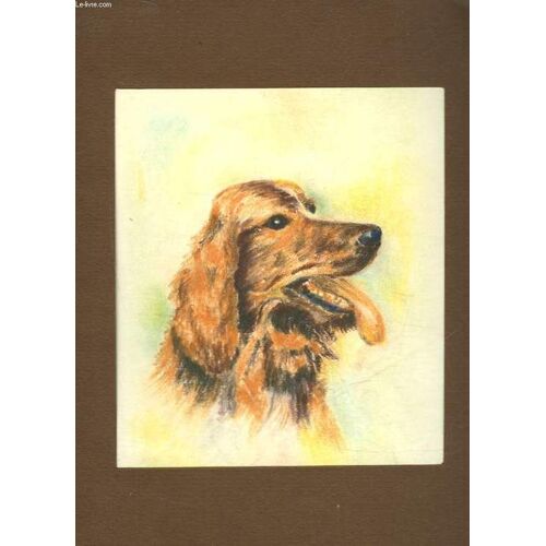 1 Dessin Original - Ceter Irlandais