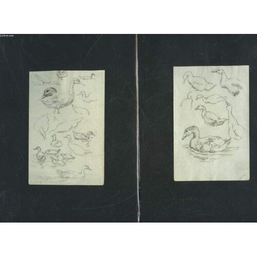 1 Lot De 3 Dessins Originaux - Animaux De La Ferme