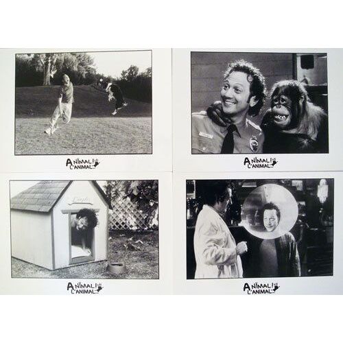 Animal L'animal  - Photo Noir Et Blanc - Format 13x18 Cm