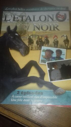 Les Plus Belles Aventures De Chevaux