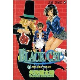 Black Cat, Volume 3 Black Cat Graphic Novels