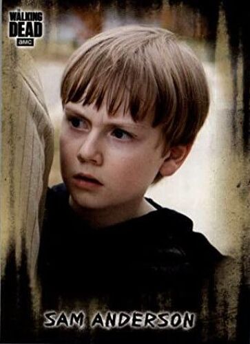 Trading Card The Walking Dead Sam Anderson Major Dodson