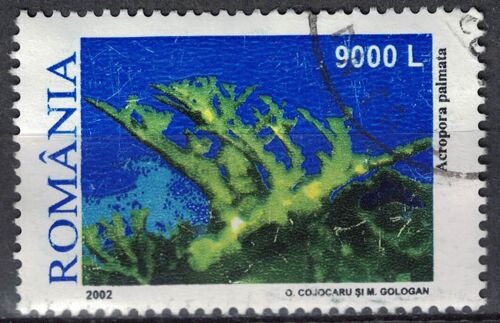 Roumanie 2002 Oblitéré Used Animal Acropora Palmata Corail Corne DÉlan Su