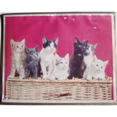 Almanach Des P.T.T. Du Cher (Chats)