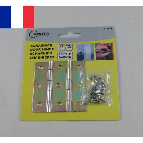 2 X Charnières de Porte en Laiton Penture 2,5" ( 64 x 35 mm ) +12 vis de Montage