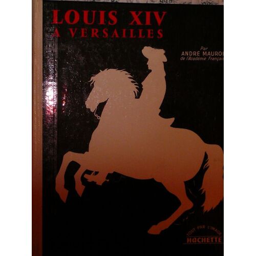 Louis Xiv A Versailles