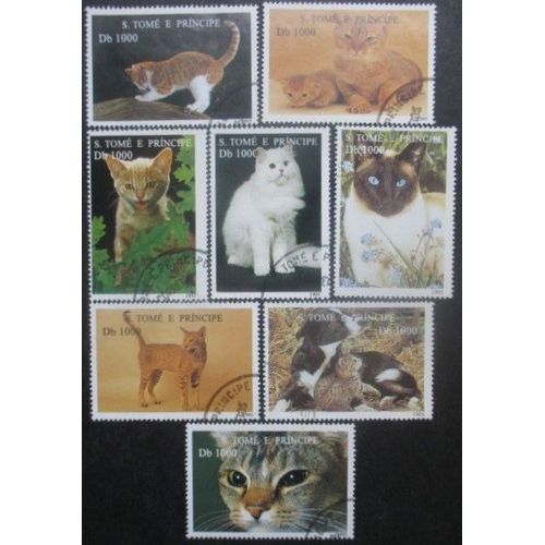 St Thomas Et Prince 8 Timbres Chats Oblitérés Cote 12 Euros