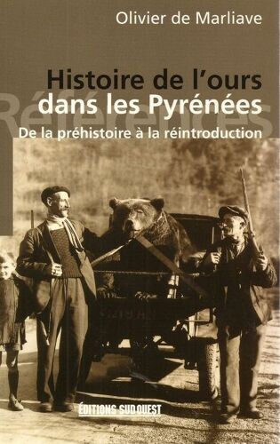 Histoire De L'ours Dans Les Pyrénées - De La Préhistoire À La Réintroduction