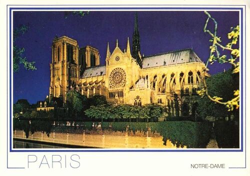 Paris : Notre Dame Illuminée (Ref Nso592)