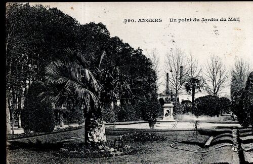 Carte Postale D' Angers (Maine Et Loire) Un Point Du Jardin Du Mail (Réf.290)