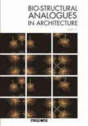 Bio-Structural Analogues In Architecture