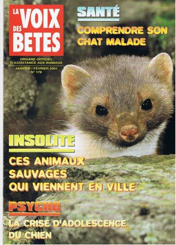 La Voix Des Betes  N° 178 : Sante  Comprendre Son Chat Malade