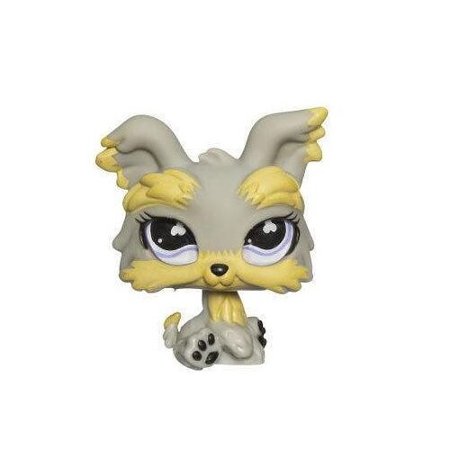 Petshop Yorkshire Gris-Caramel Yeux Réèl - Pet Shop 883