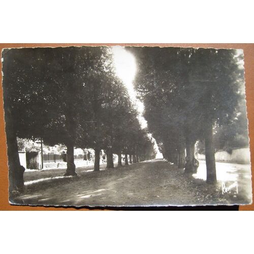 Soisy-Sur-Seine. Allée Chevalier - Avenue Chevalier. Marcinelle