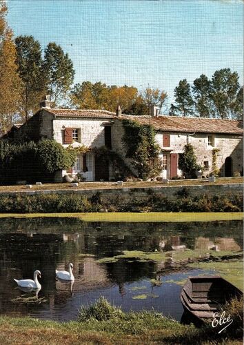 Carte Postale, France, Deux Sèvres ( 79 ), Marais Poitevin - Oblitération Du 27/08/1984
