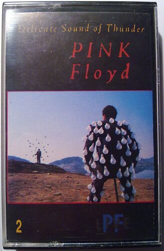 Pink Floyd Delicate Sound Of Thunder
