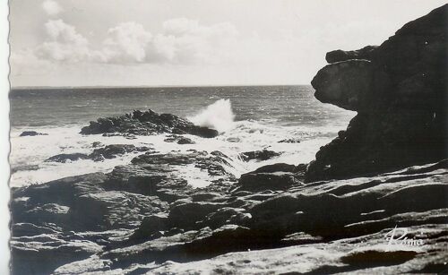 Cpsm-Quiberon-(Morbihan)-La Côte Sauvage