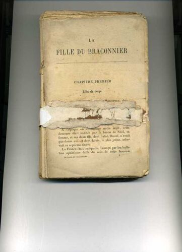 La Fille Du Braconnier