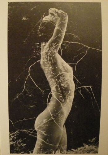 Ruth Bernhard - Symbiosis - 1971