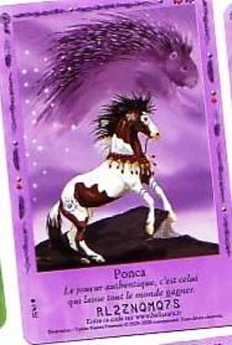 Carte Bella Sara Ponca 20/65