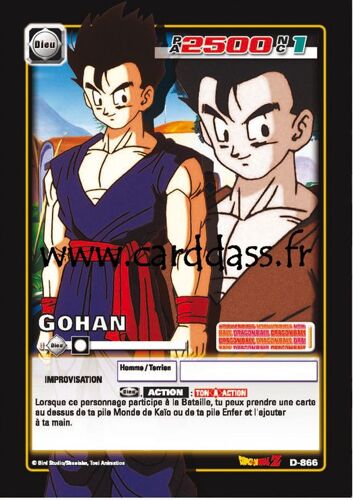 Gohan D-866 Dragon Ball Z Serie 10 Vf