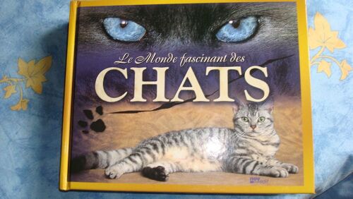 Le Monde Fascinant Des Chats
