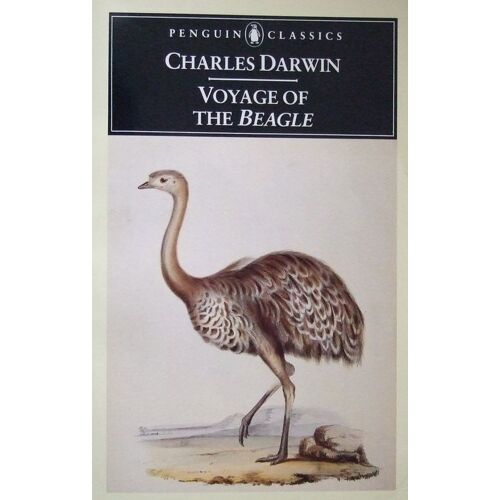 The Voyage Of The Beagle
