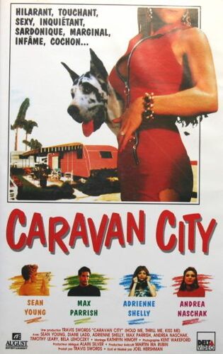 Caravan City Hold Me Thrill Me Kiss Me