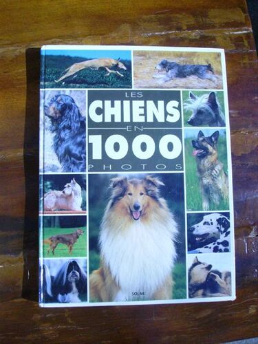 Les Chiens En Mille Photos