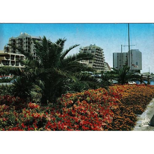 Carte Postale, France, Hérault ( 34 ), La Grande Motte - Oblitération Du 08/07/1986