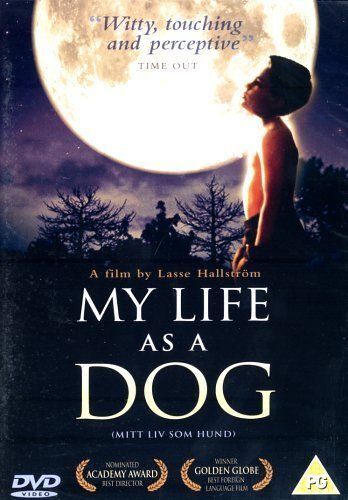 My Life As A Dog