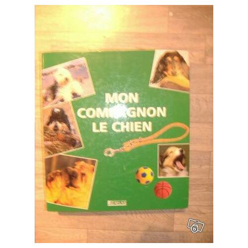 Mon Compagnon Le Chien