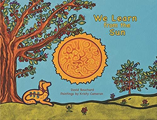 We Learn From The Sun