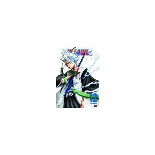 Bleach, Vol.12
