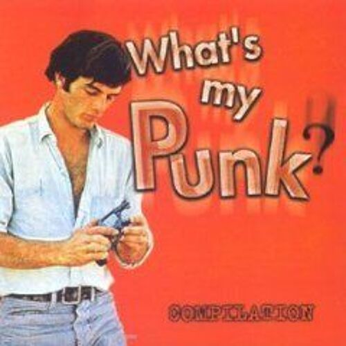 What's My Punk : Compil. Punk Hardcore France