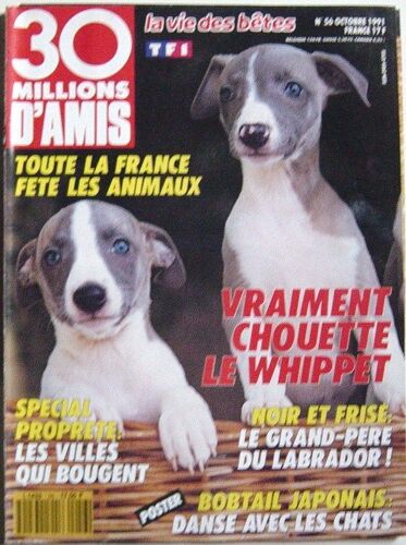 30 Millions D'amis N° 56 : Vraiment Chouette Le Wippet