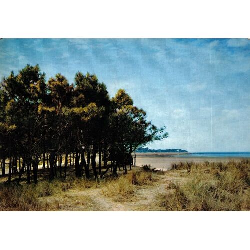 Carte Postale, France, Charente Maritime ( 17 ), Les Portes, Le Petit Bois De Trousse Chemise - Oblitération Du 31/08/1972