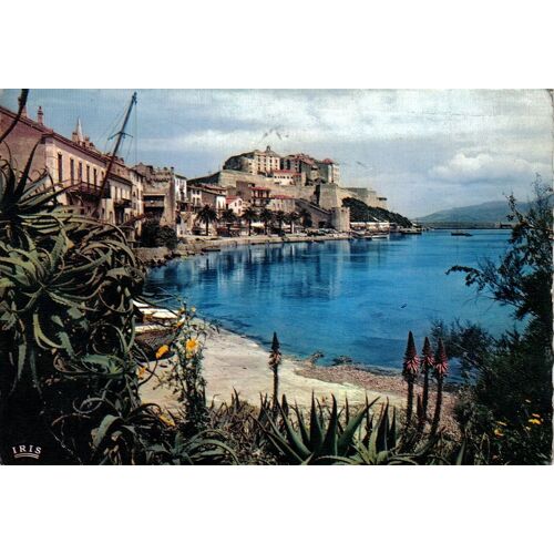 Carte Postale, France, Corse, Calvi - Oblitération Du 17/08/1961