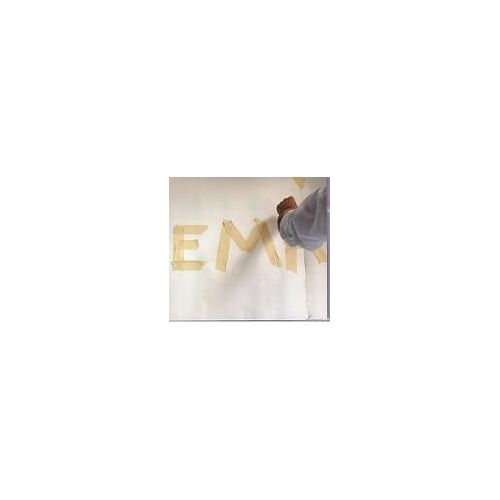 Mc Cartney ( Beatles) Album Fireman Electric Arguments