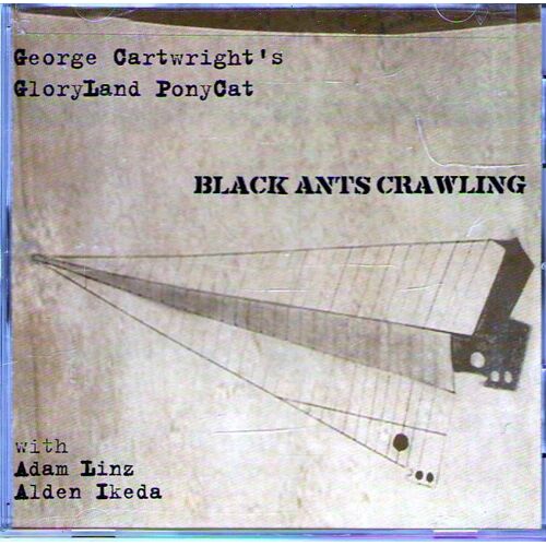 Black Ants Crawling