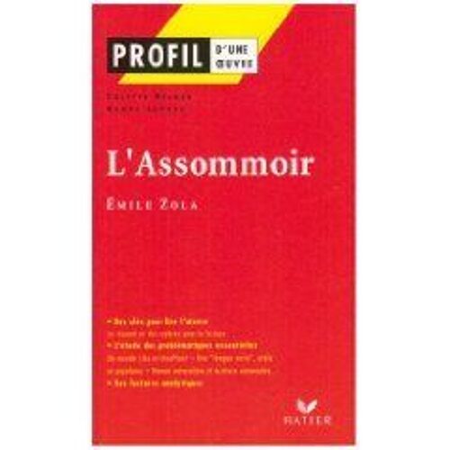 L'assommoir" (1877), Zola - Résumé, Personnages, Thèmes