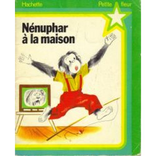 Nénuphar À La Maison