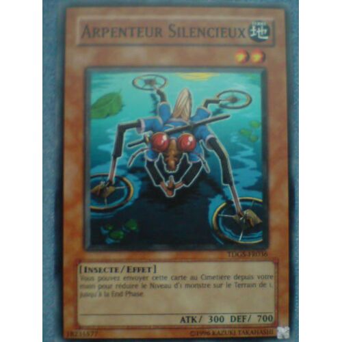 Arpenteur Silencieux-Tdgs-Vf